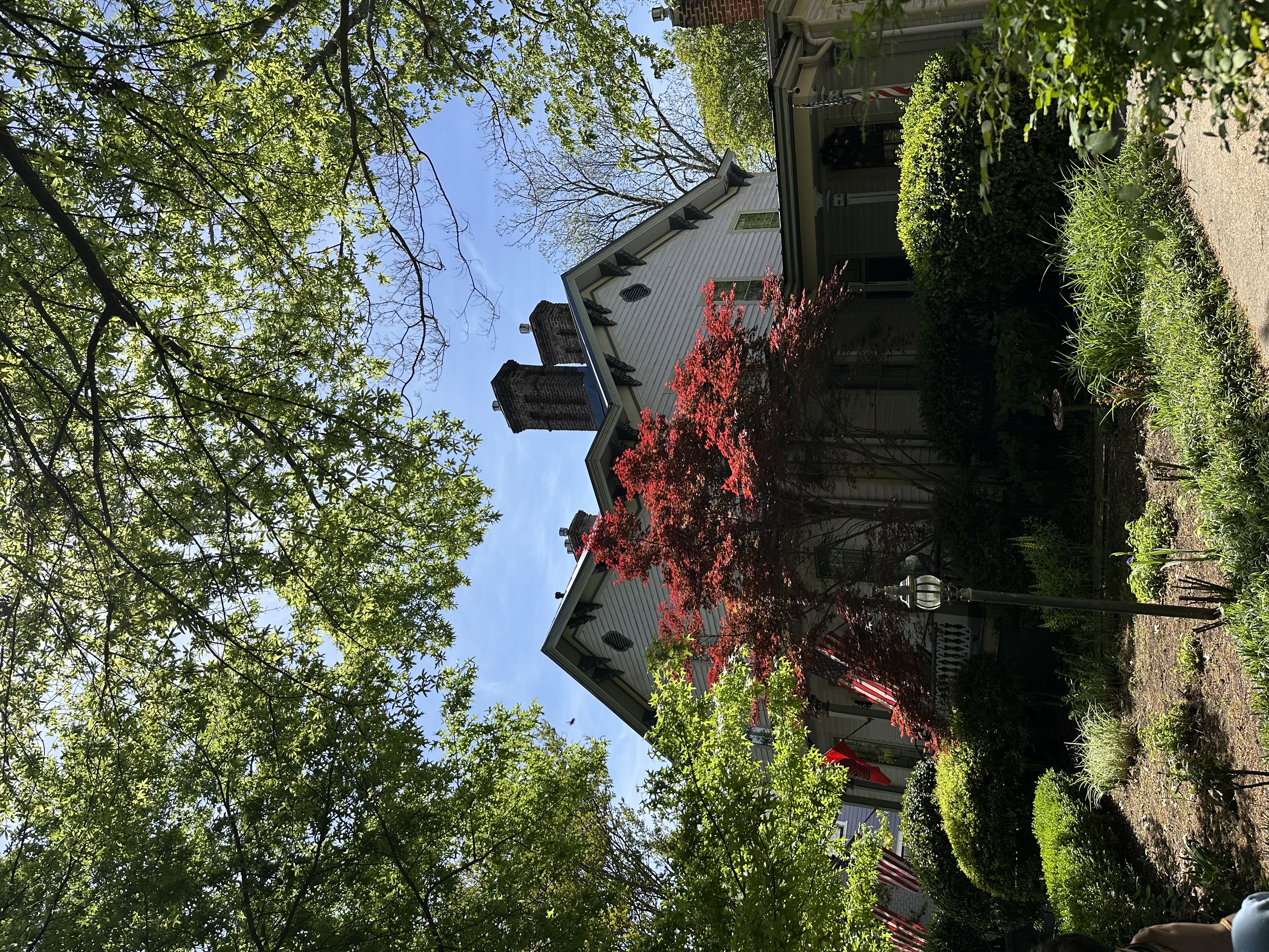 The Oakwood Inn, Raleigh — living room with fireplace, chandelier and antique Persian rug