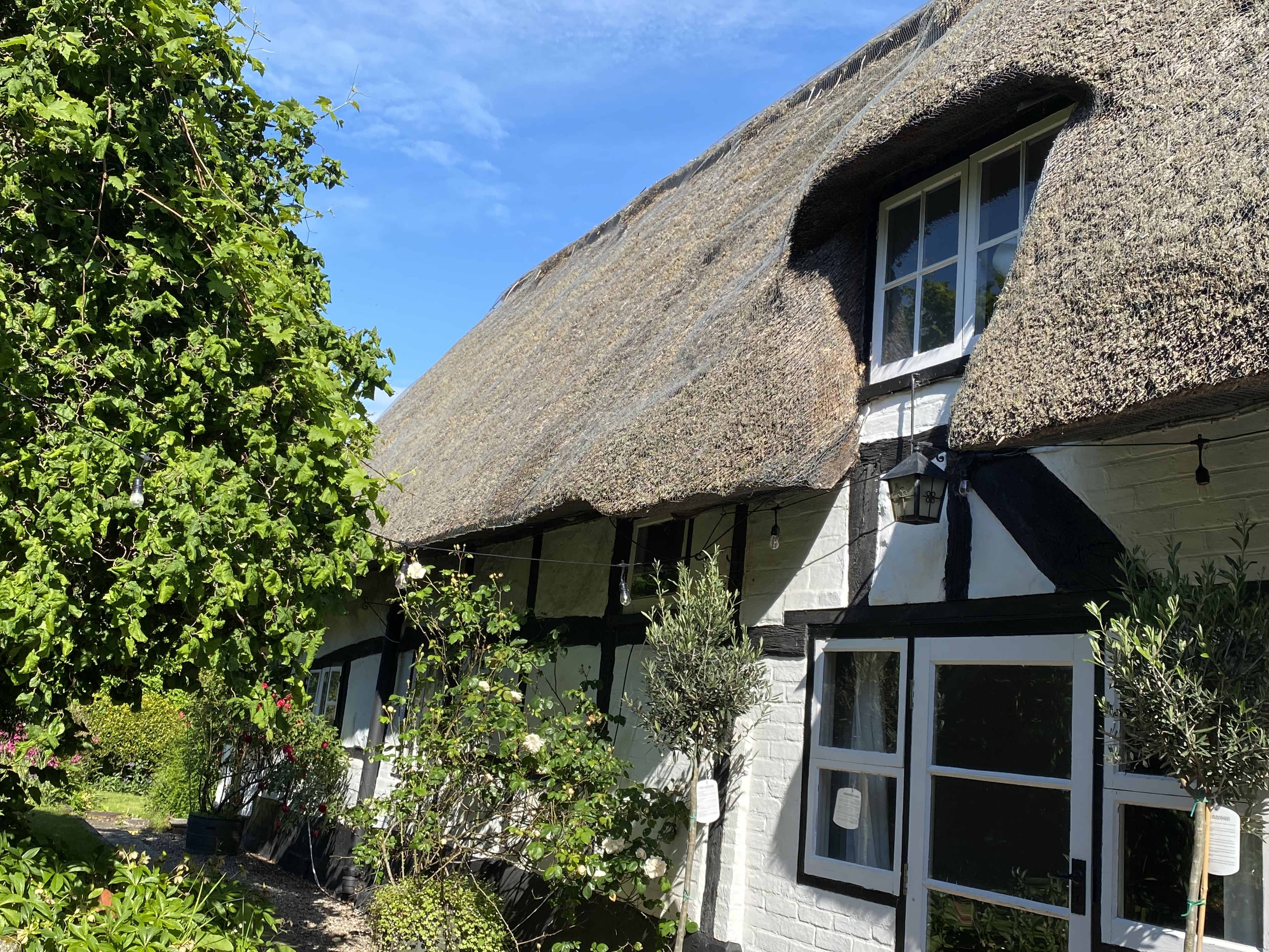 A thatched cottage in the Meon Valley, Hampshire, in morning mist